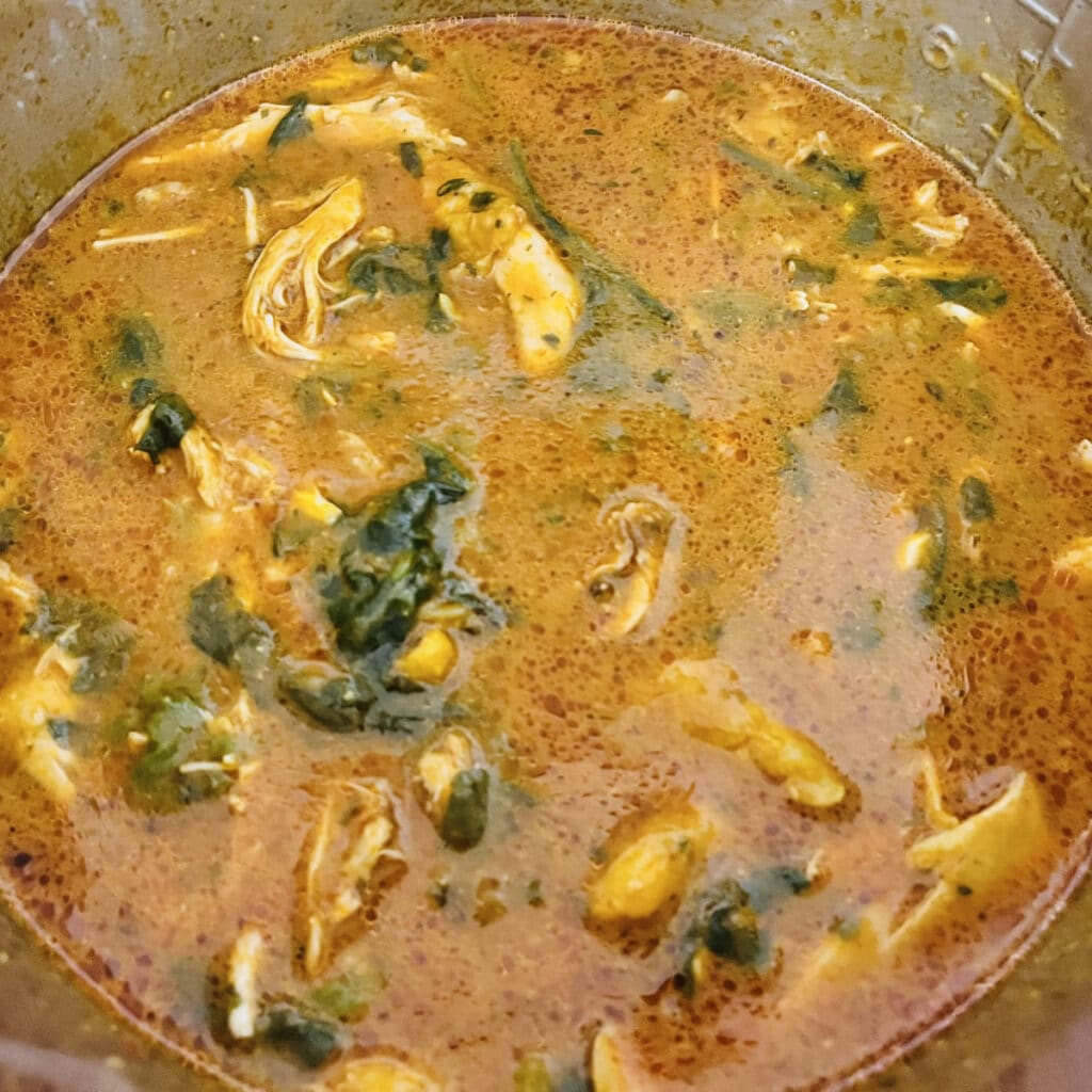 Instant Pot Butter chicken with spinach 1